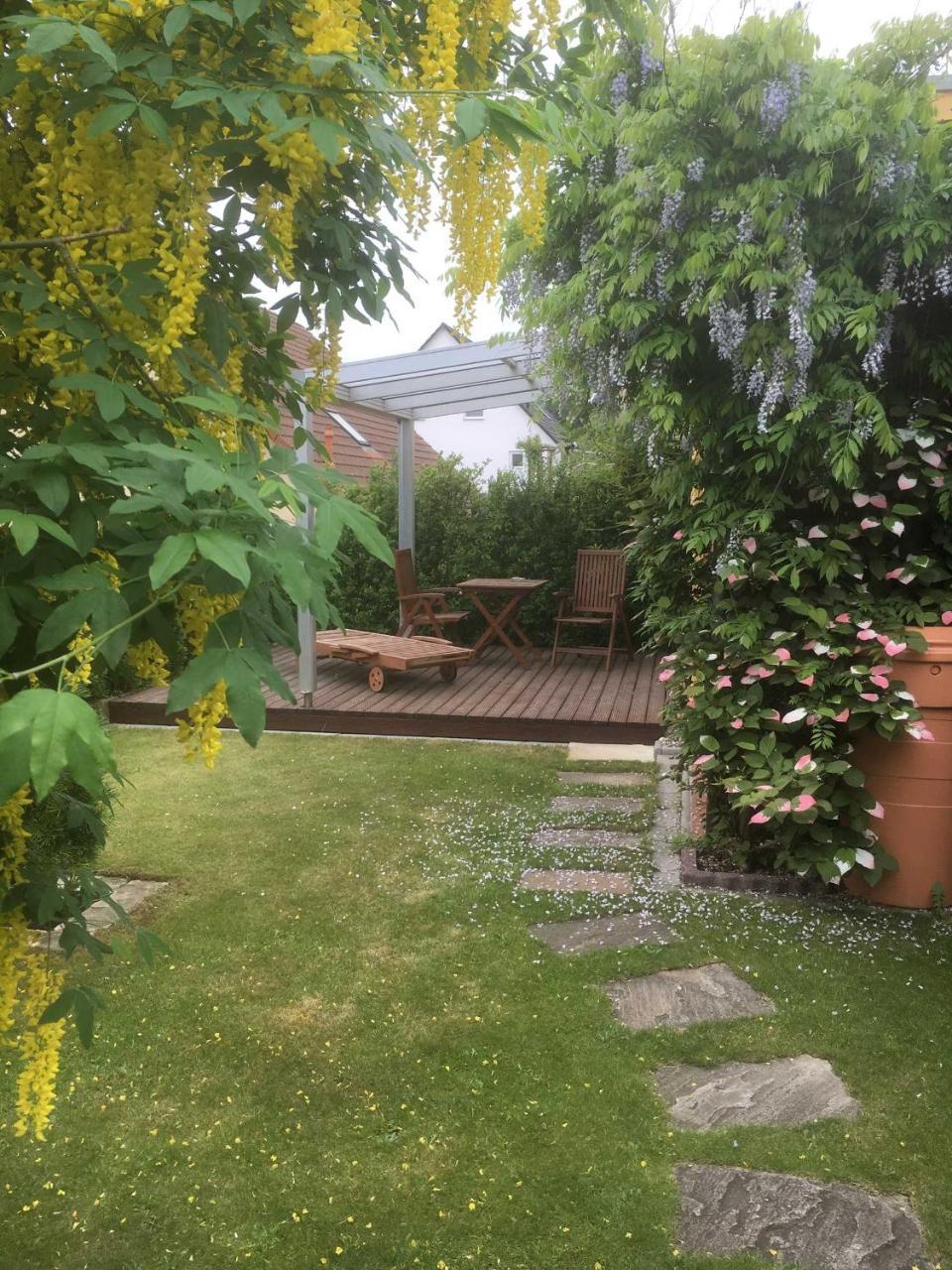 Ferienwohnung 01 Altenberg Херингсдорф Екстериор снимка